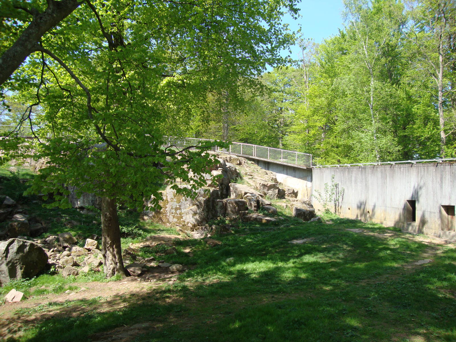 Sk?nes Djurpark May 2013