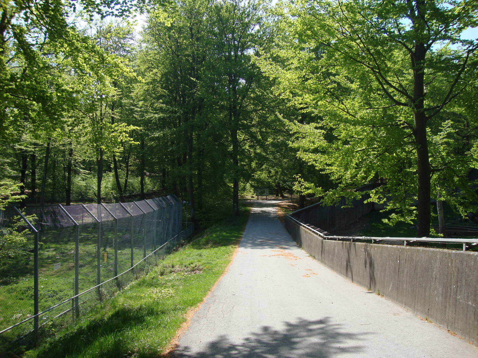 Sk?nes Djurpark May 2013