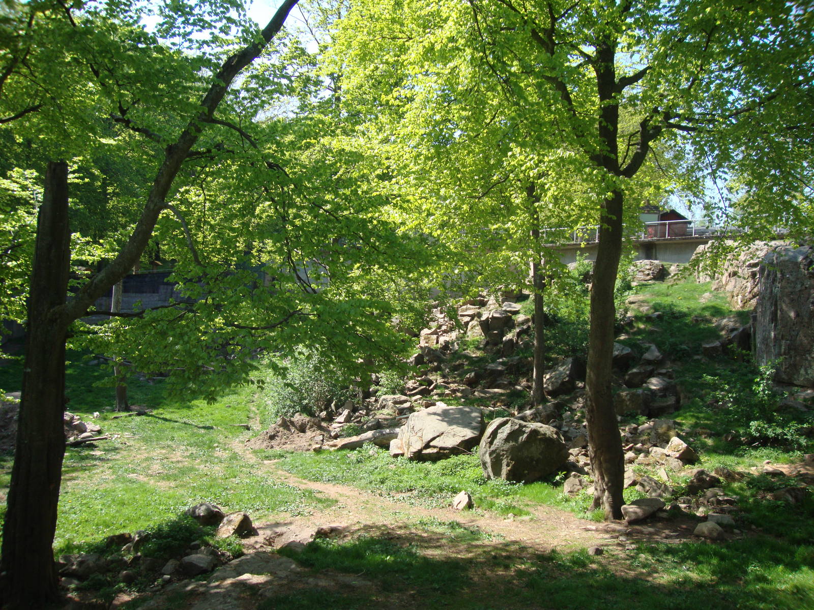 Sk?nes Djurpark May 2013