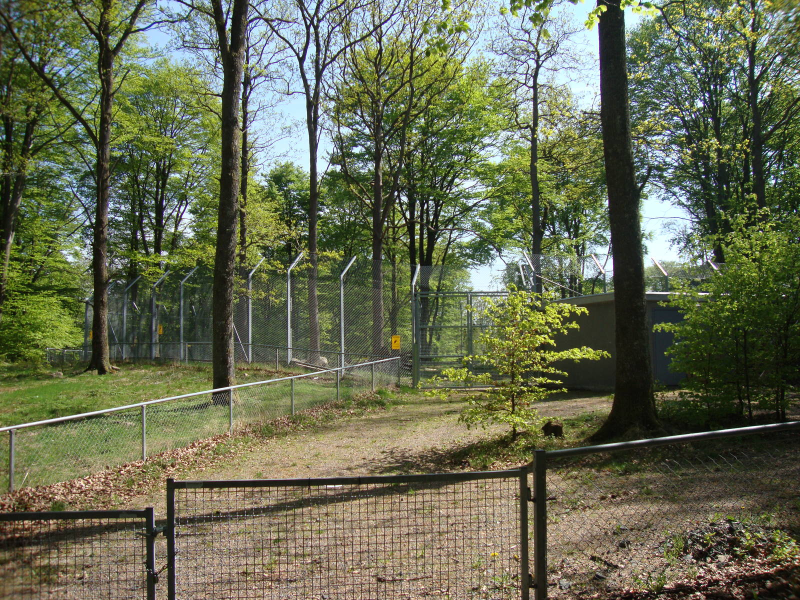 Sk?nes Djurpark May 2013