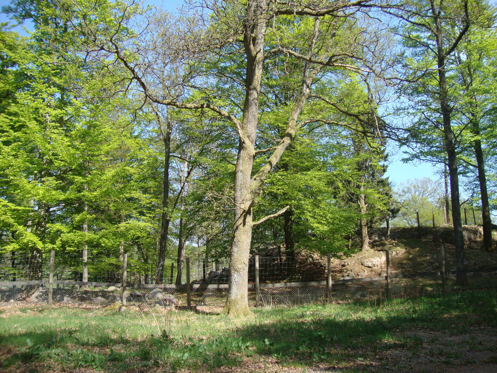 Sk?nes Djurpark May 2013