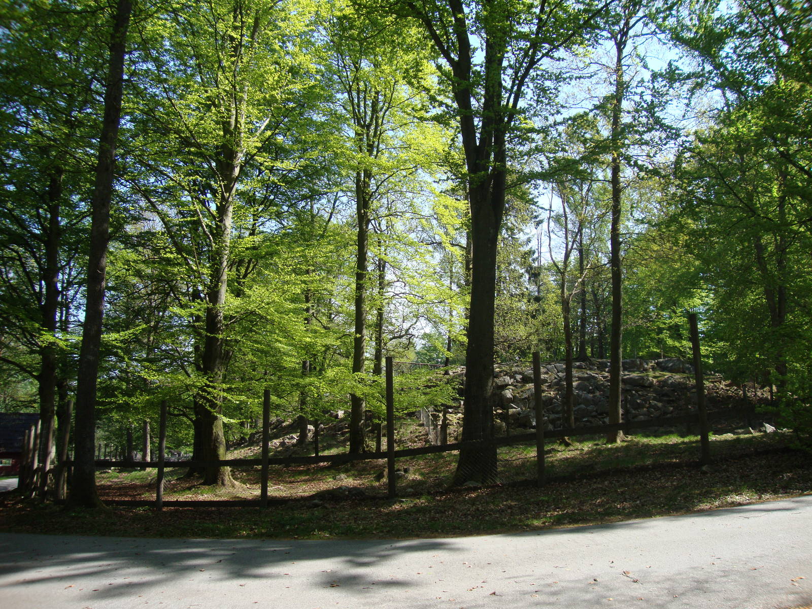 Sk?nes Djurpark May 2013