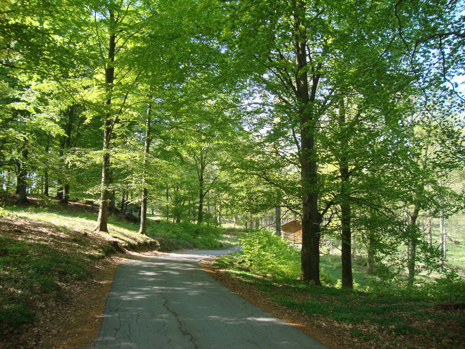 Sk?nes Djurpark May 2013