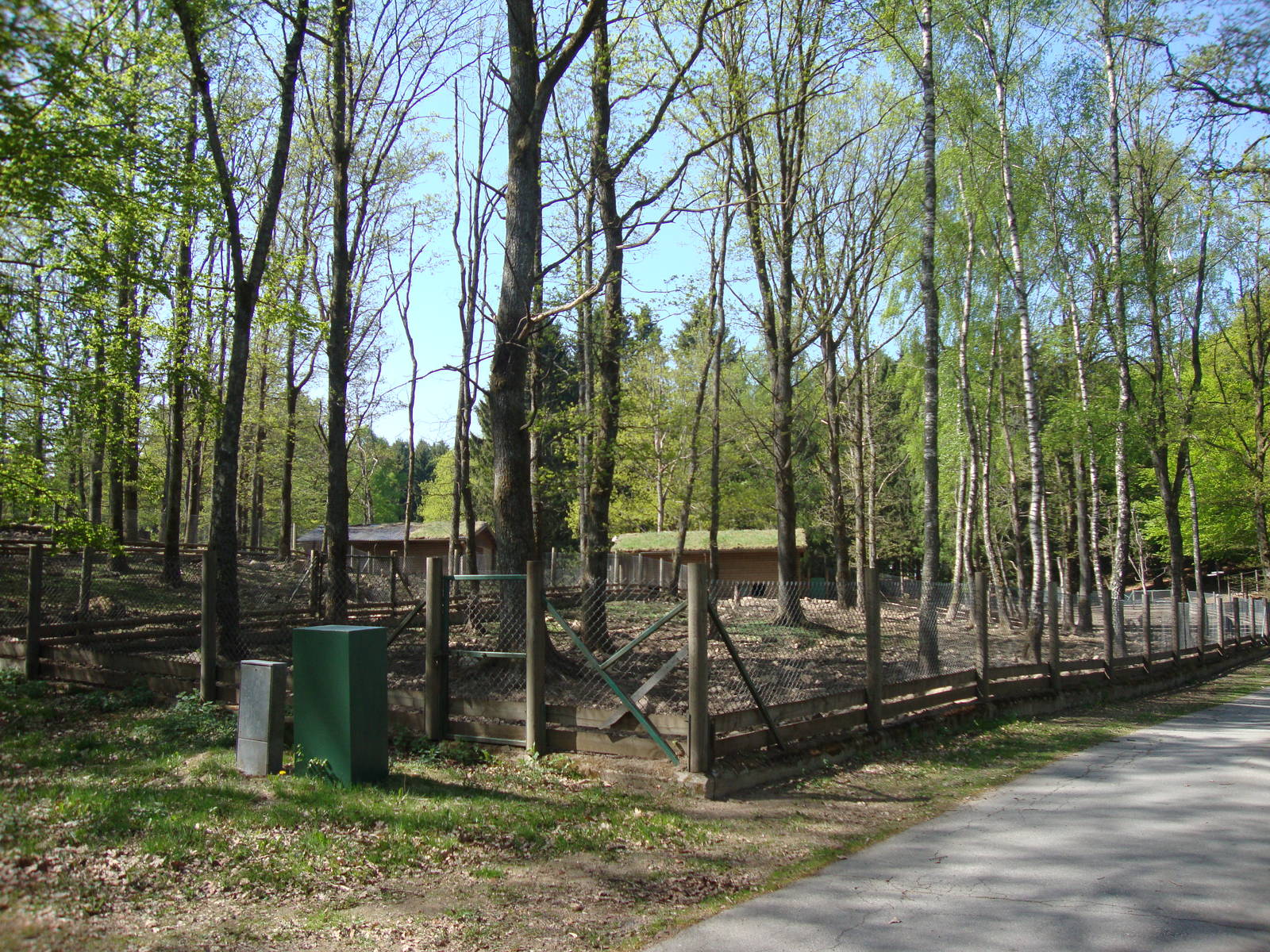 Sk?nes Djurpark May 2013