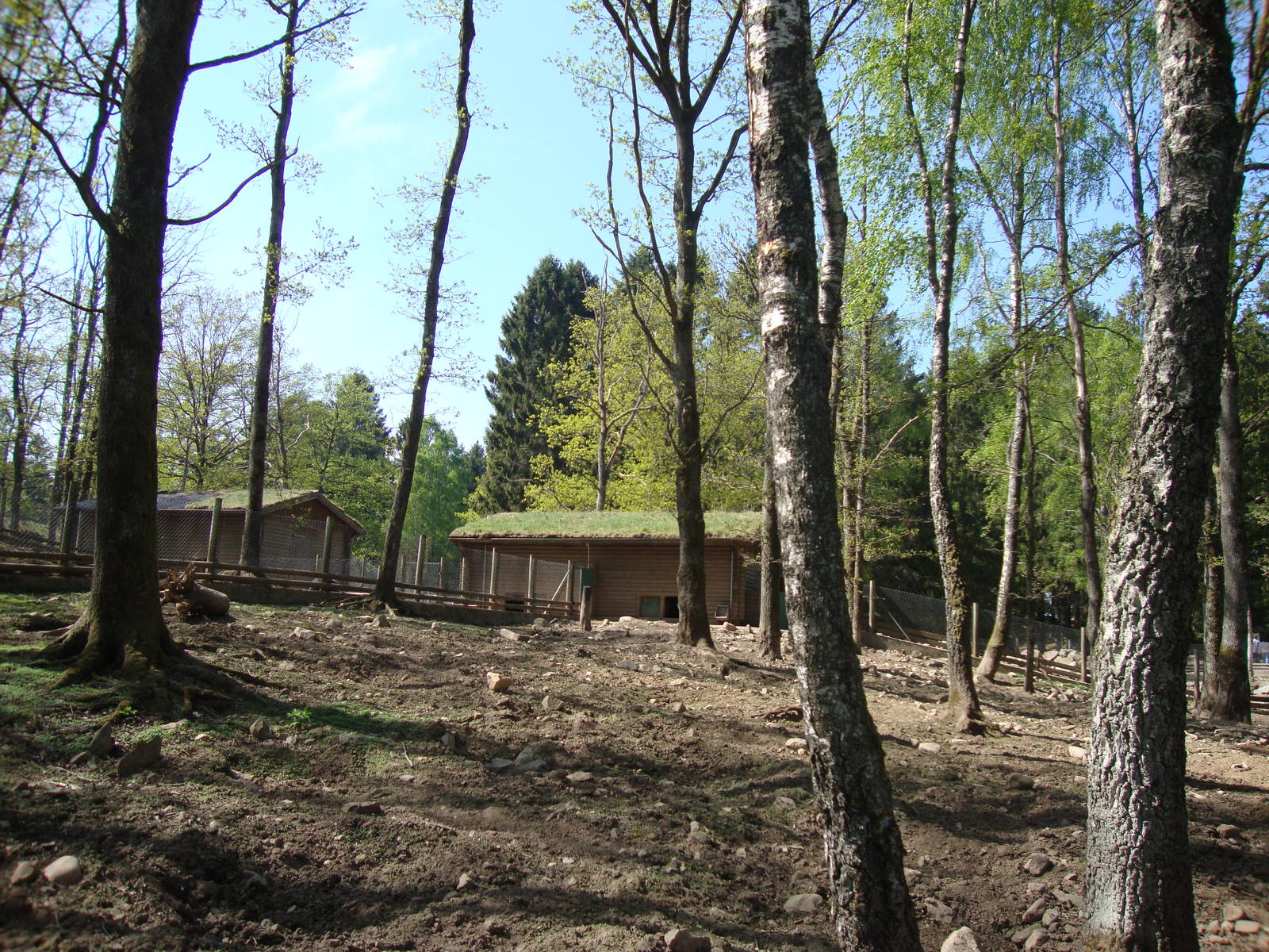 Sk?nes Djurpark May 2013