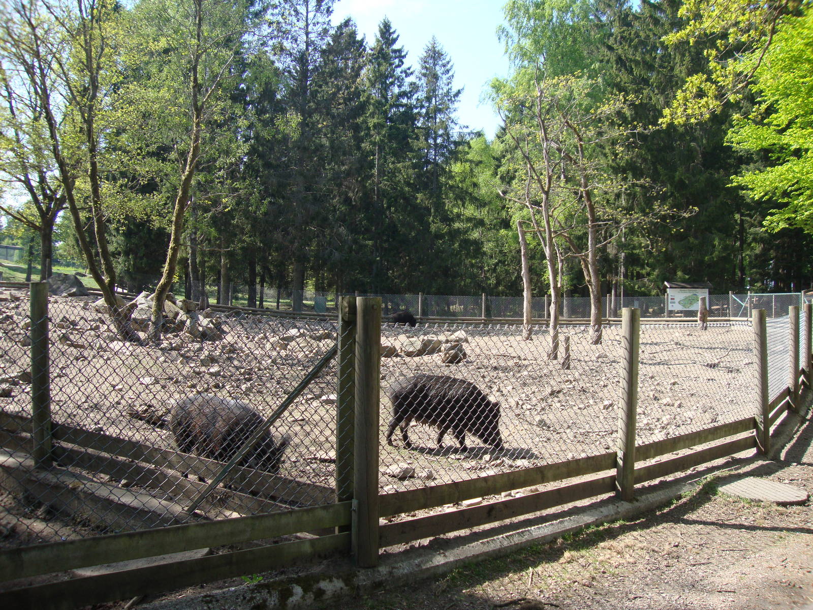 Sk?nes Djurpark May 2013