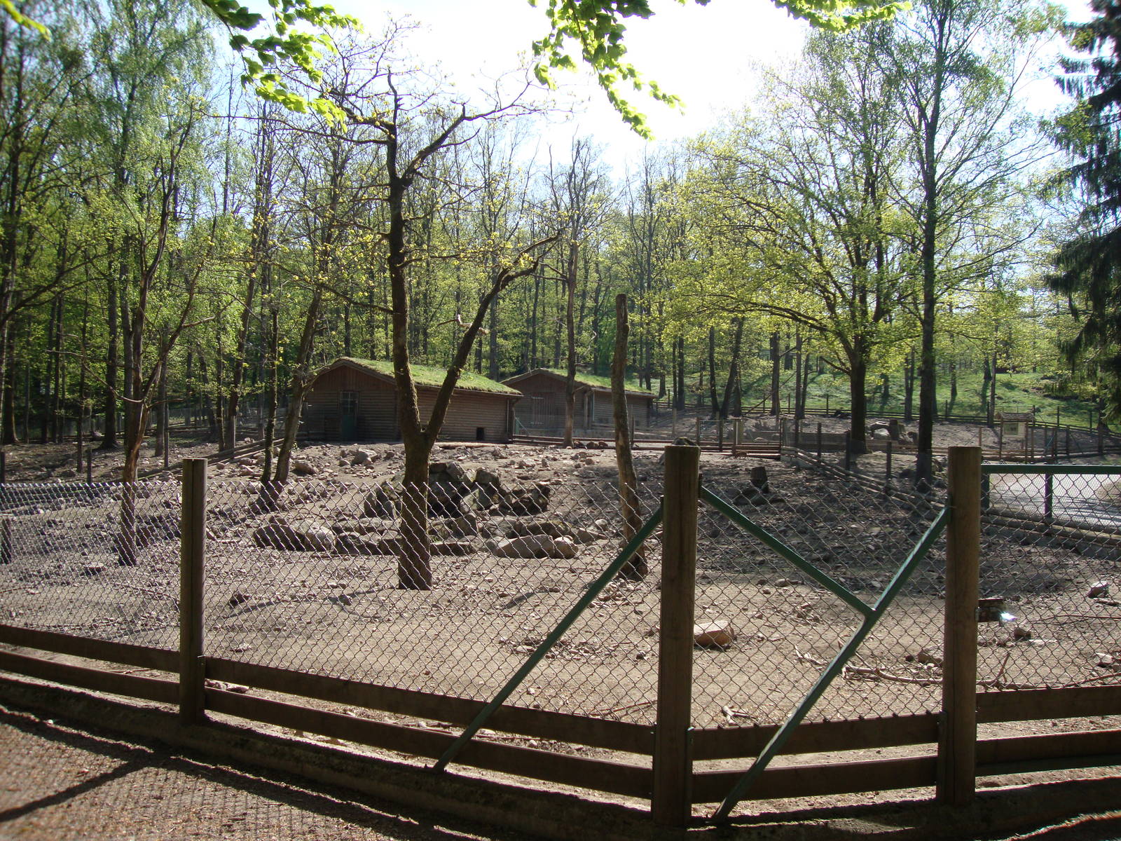 Sk?nes Djurpark May 2013