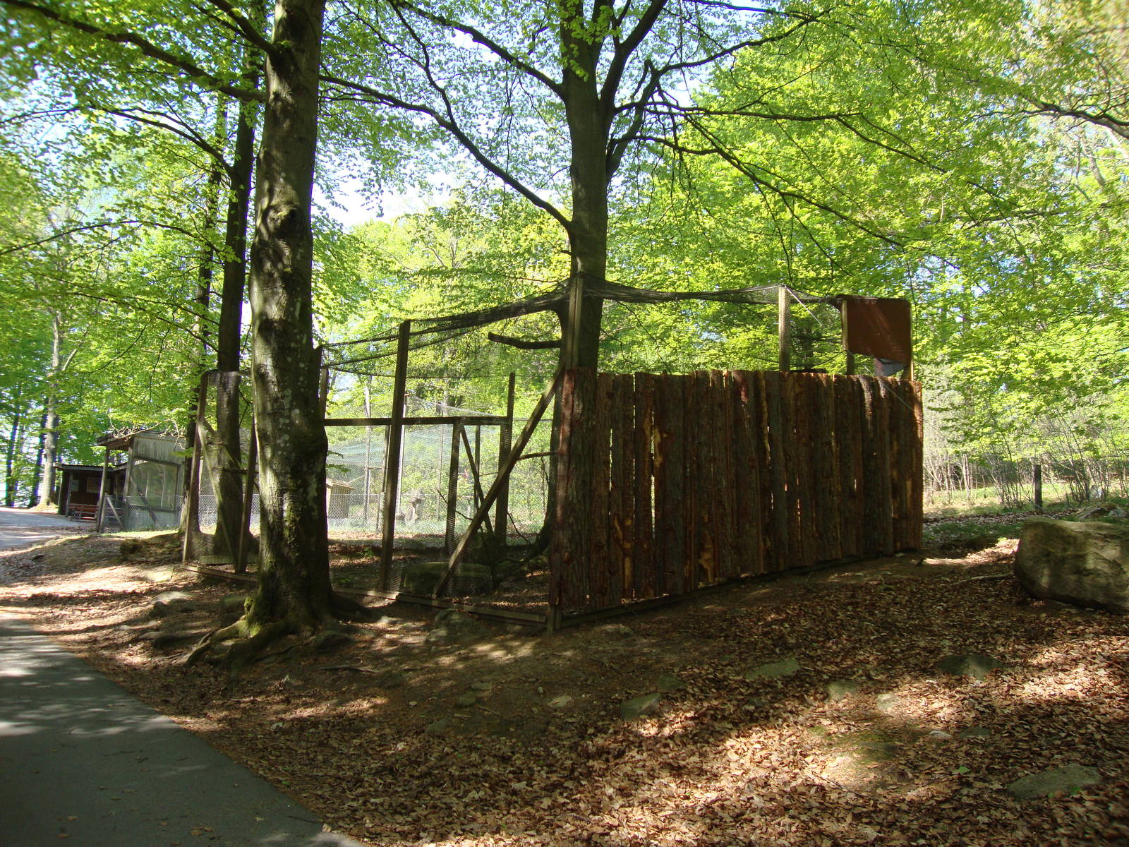 Sk?nes Djurpark May 2013