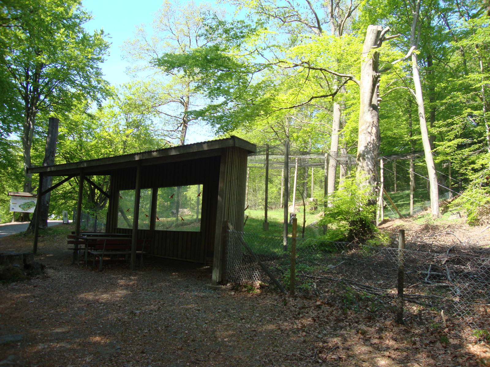 Sk?nes Djurpark May 2013