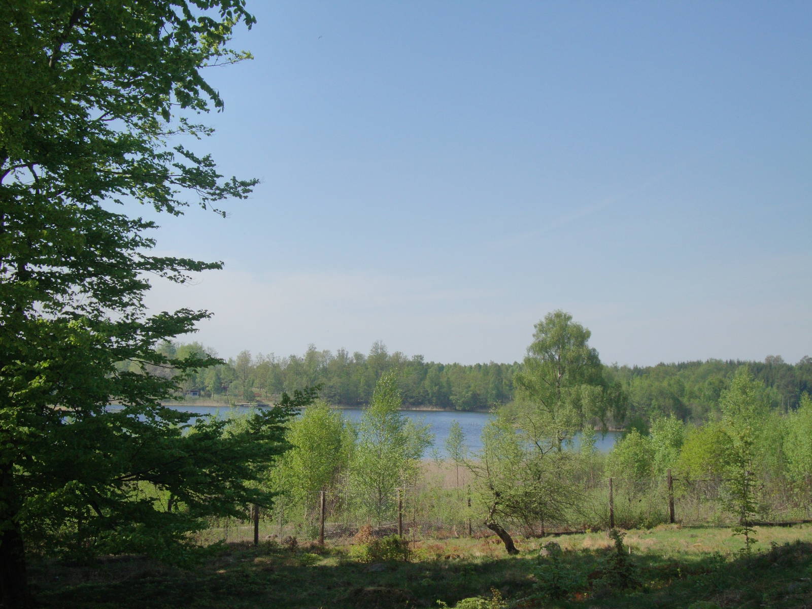 Sk?nes Djurpark May 2013