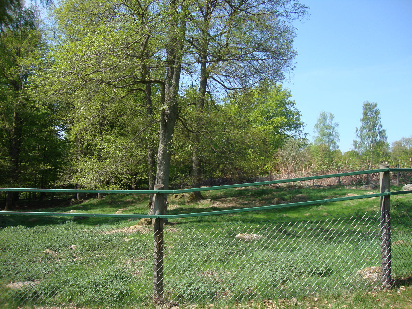 Sk?nes Djurpark May 2013