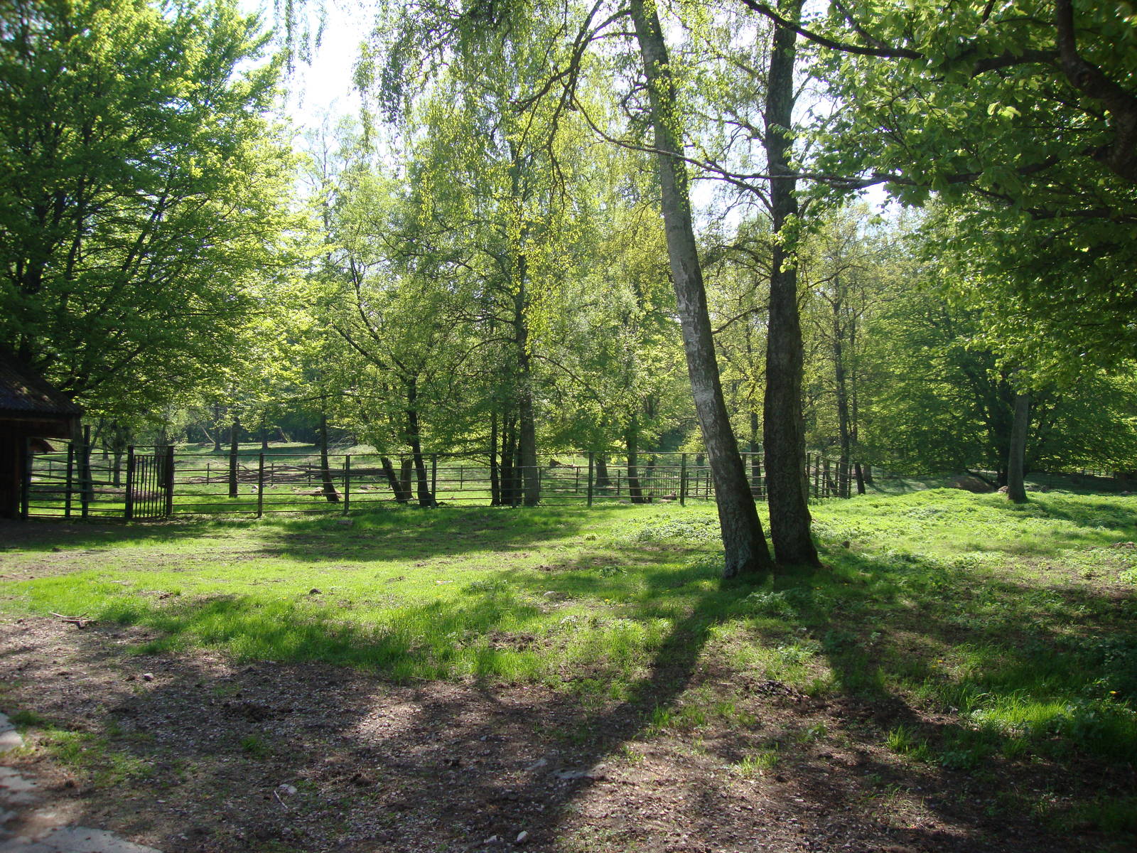 Sk?nes Djurpark May 2013