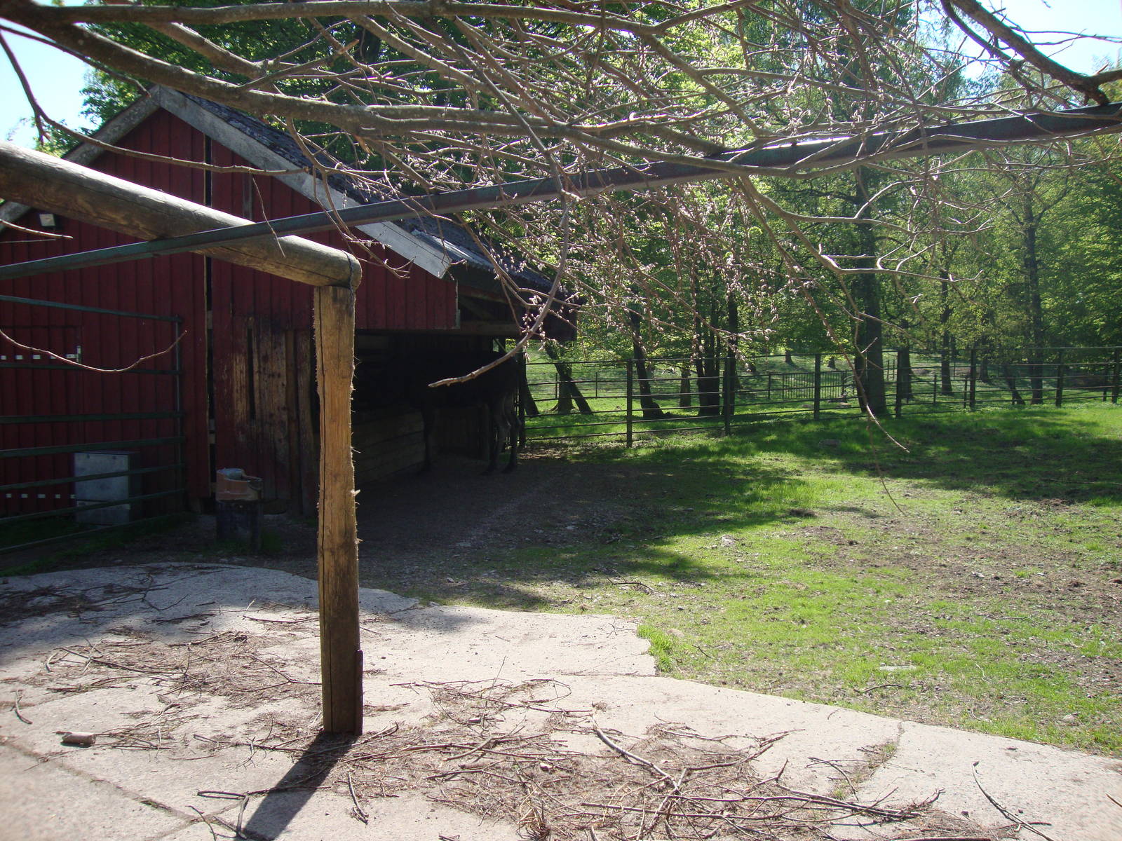 Sk?nes Djurpark May 2013