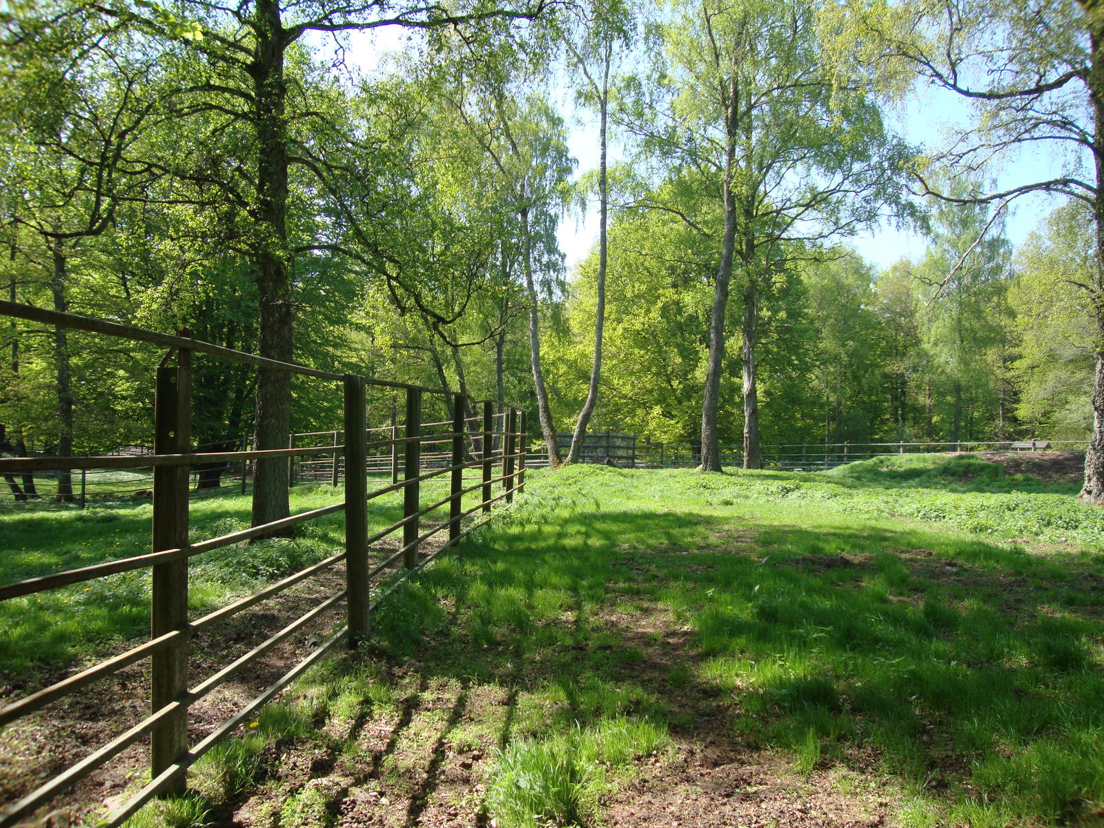 Sk?nes Djurpark May 2013