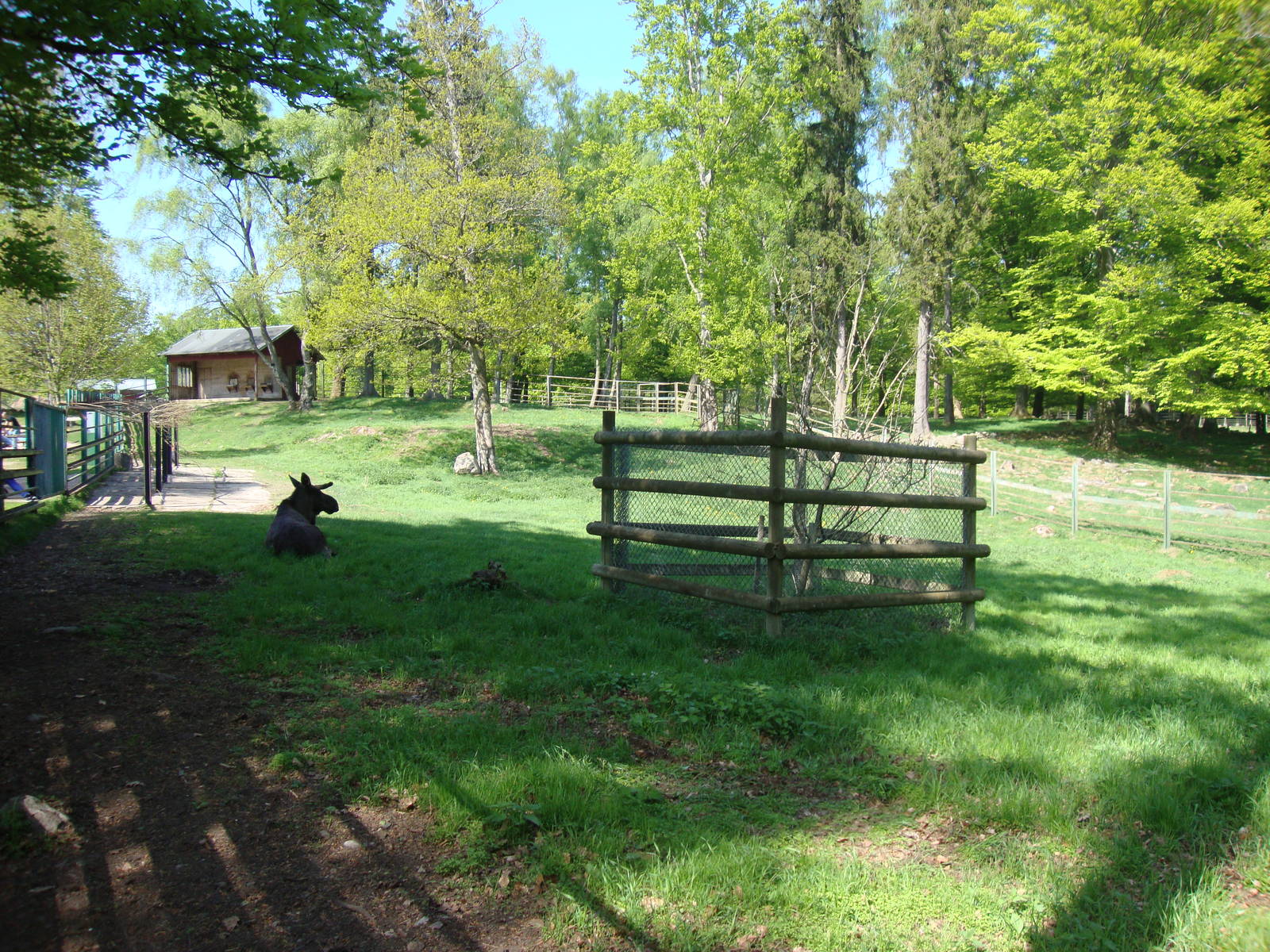 Sk?nes Djurpark May 2013