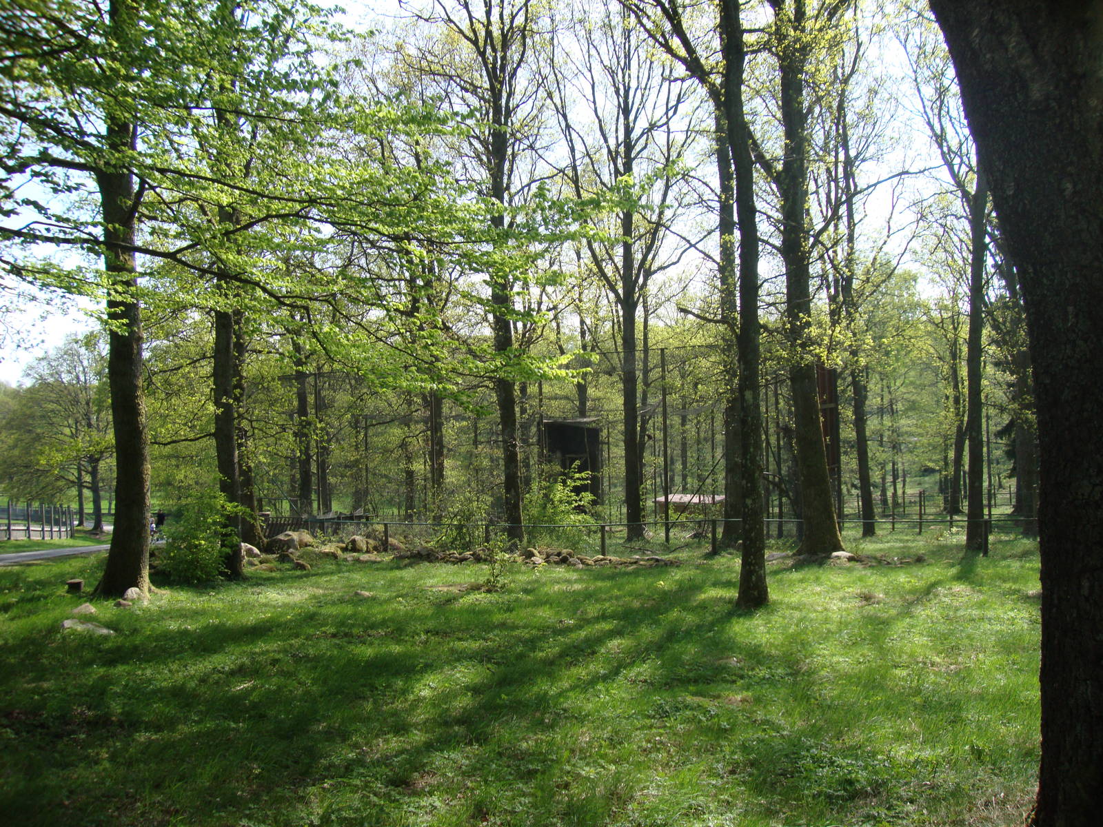 Sk?nes Djurpark May 2013