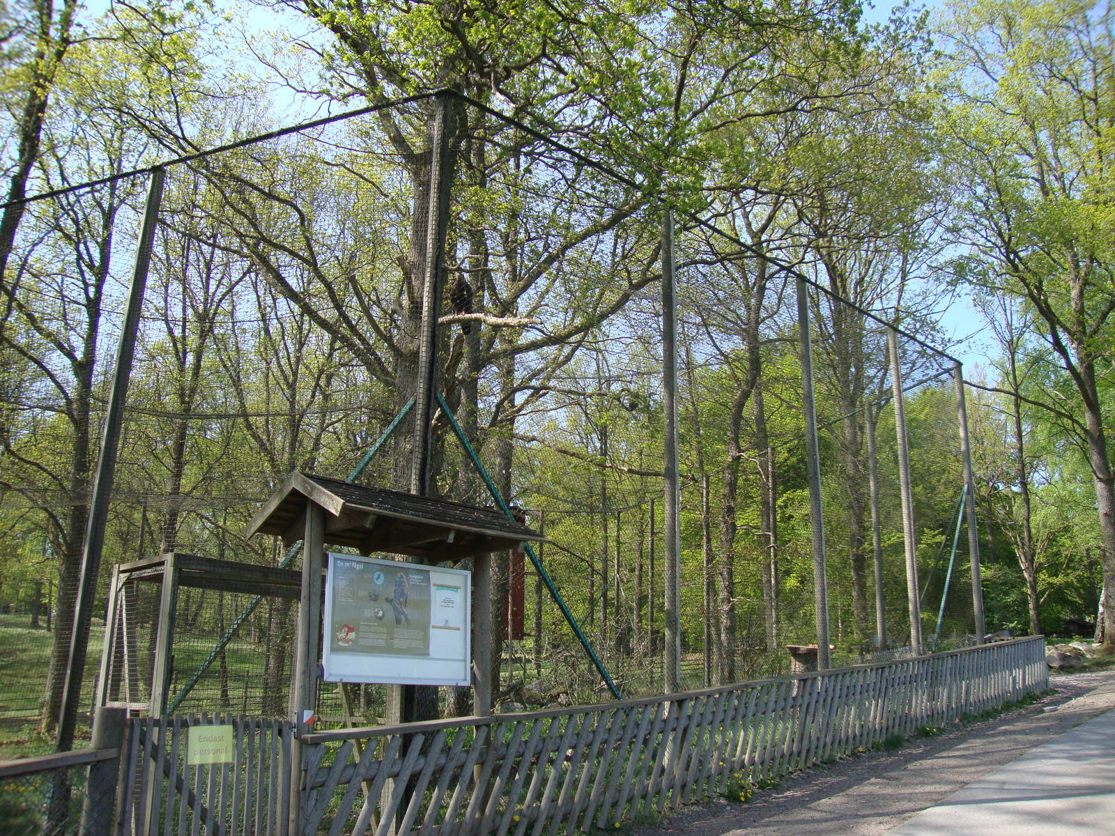 Sk?nes Djurpark May 2013