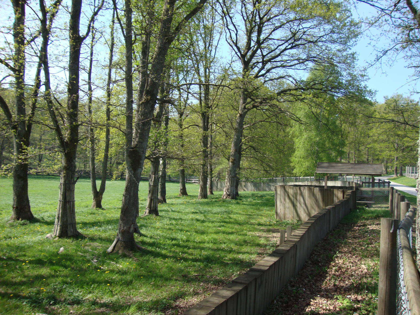 Sk?nes Djurpark May 2013