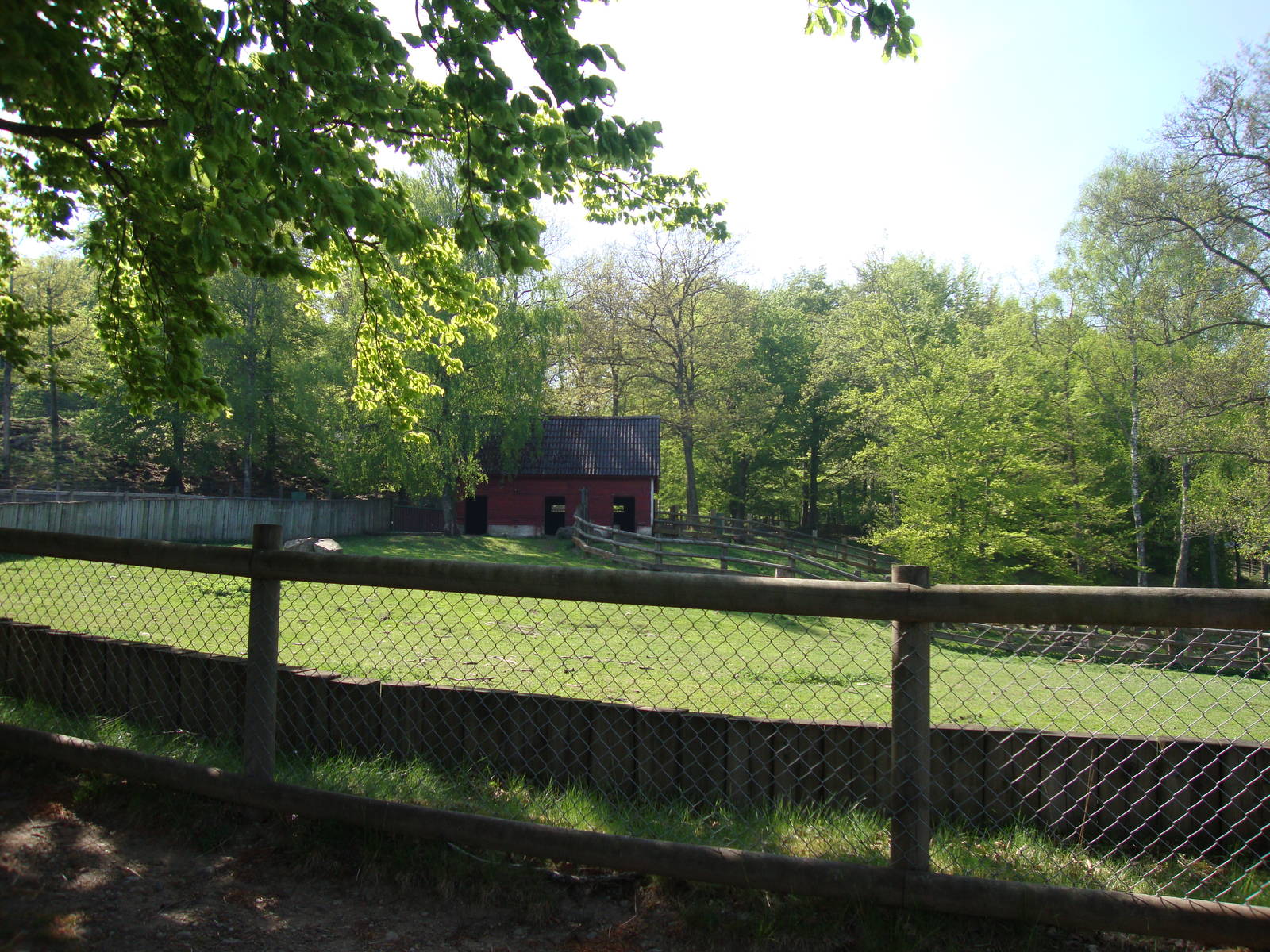 Sk?nes Djurpark May 2013