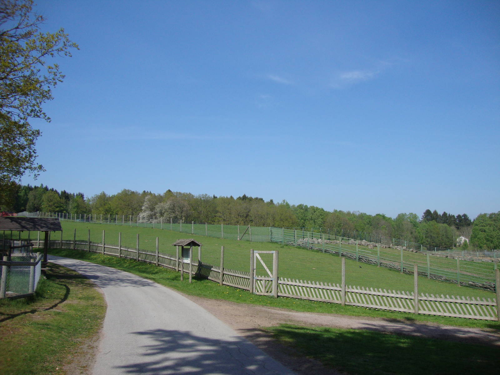 Sk?nes Djurpark May 2013