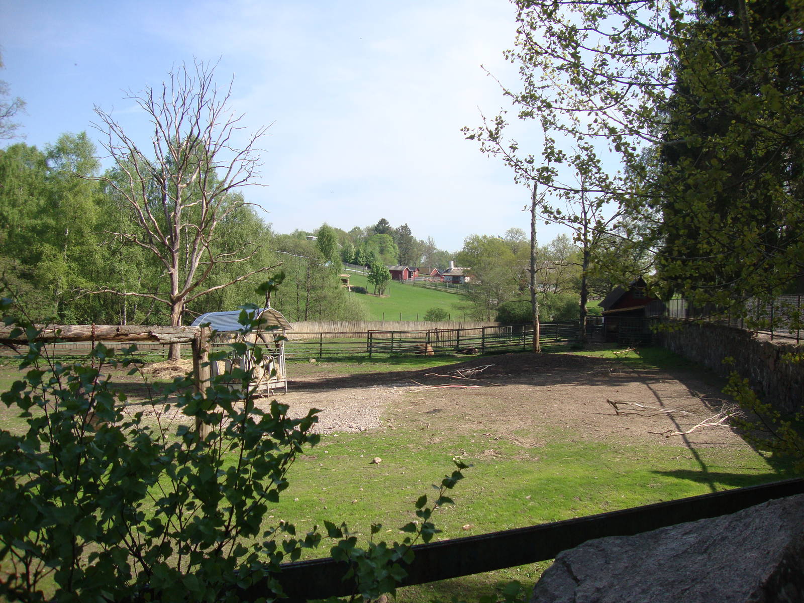 Sk?nes Djurpark May 2013