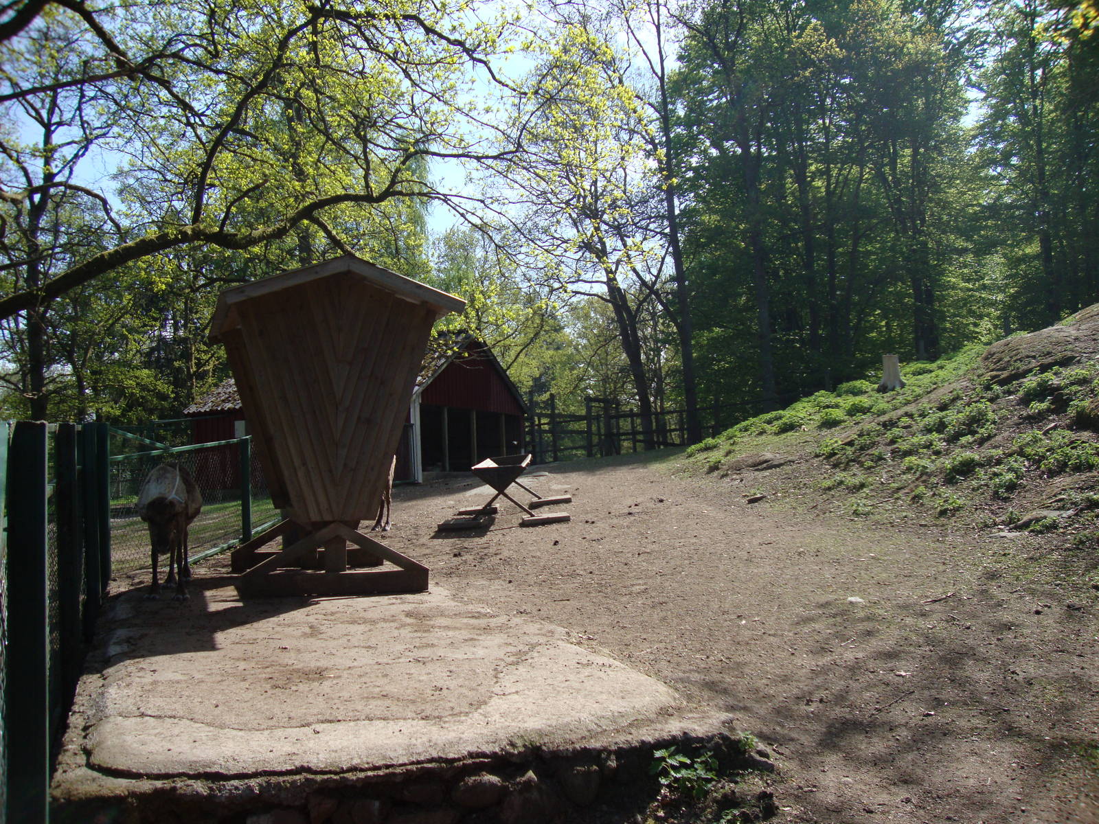 Sk?nes Djurpark May 2013