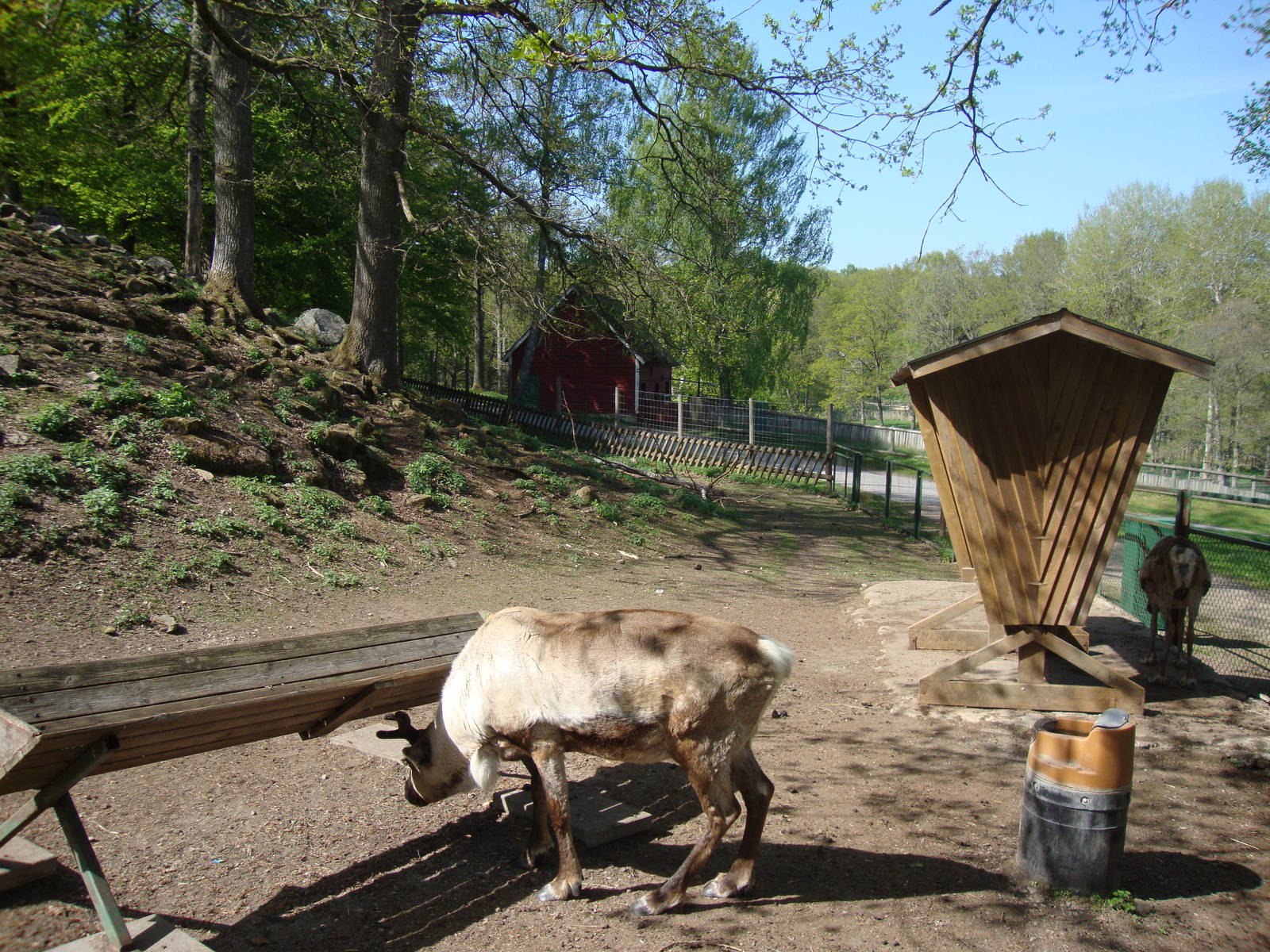 Sk?nes Djurpark May 2013