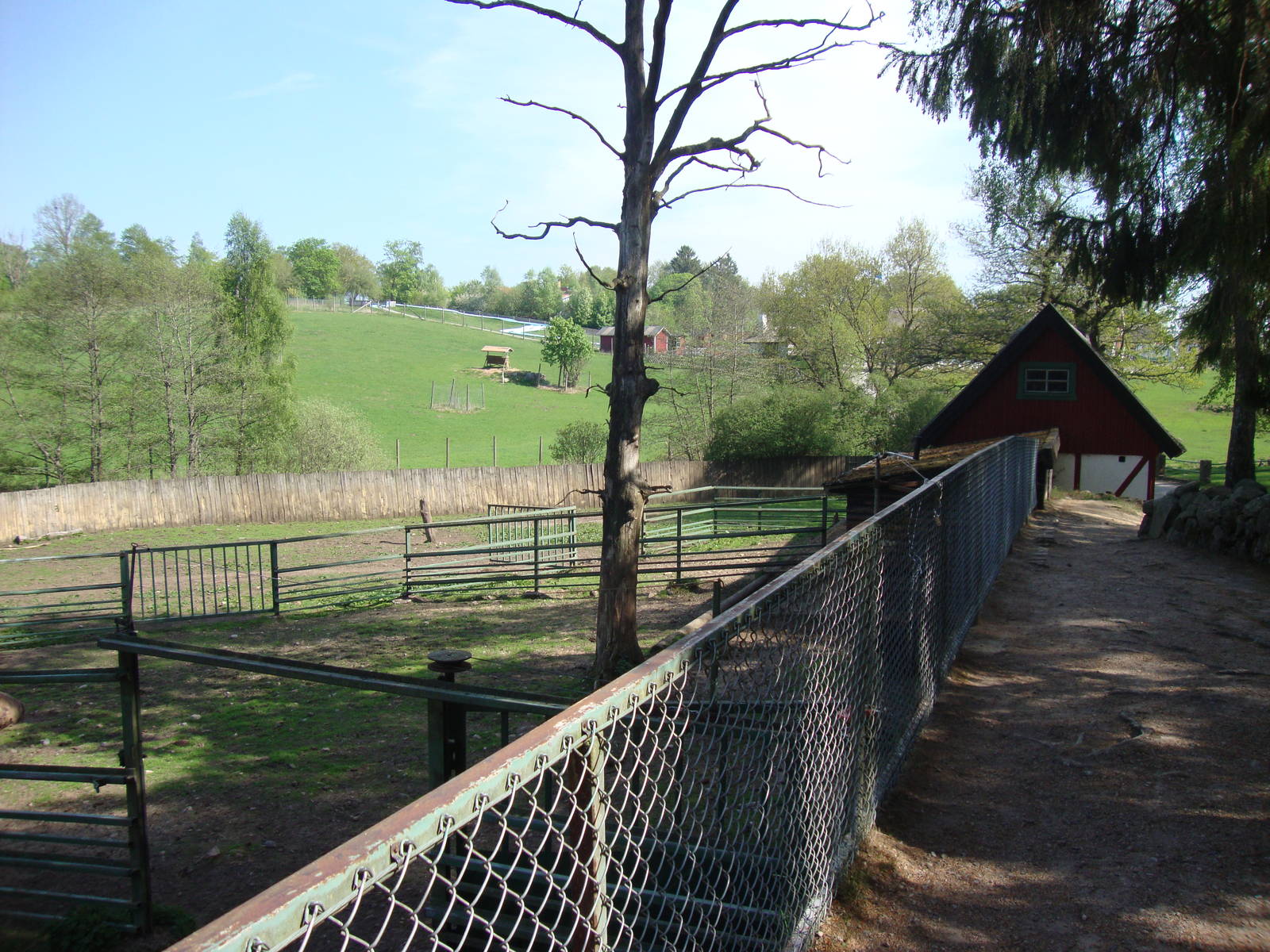 Sk?nes Djurpark May 2013