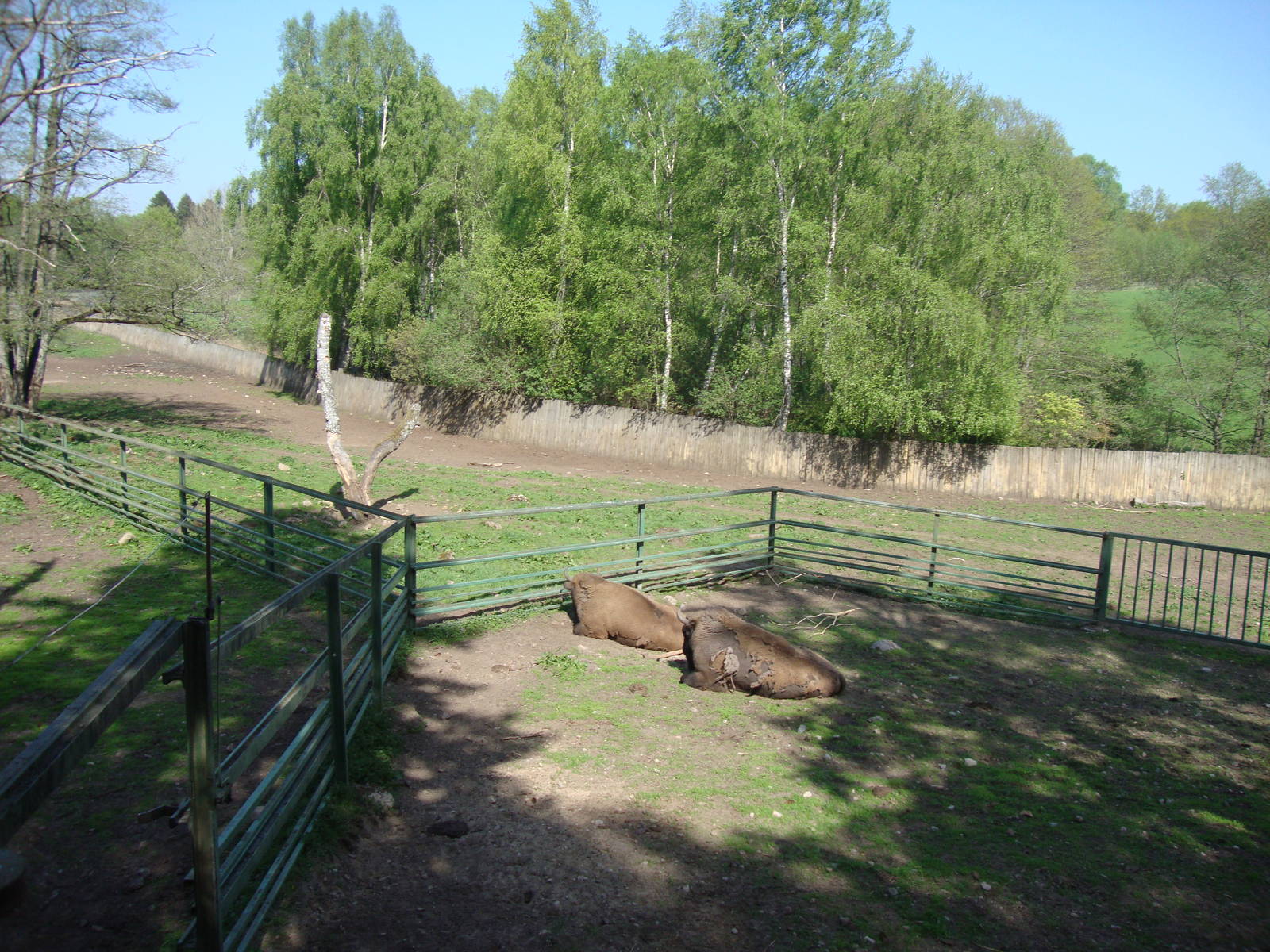 Sk?nes Djurpark May 2013