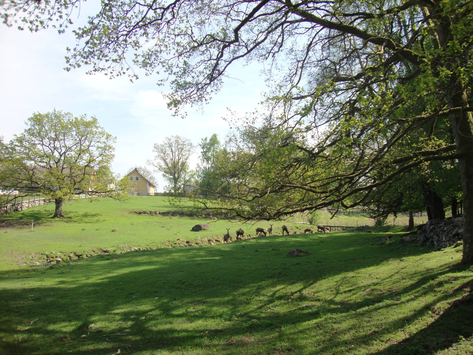 Sk?nes Djurpark May 2013