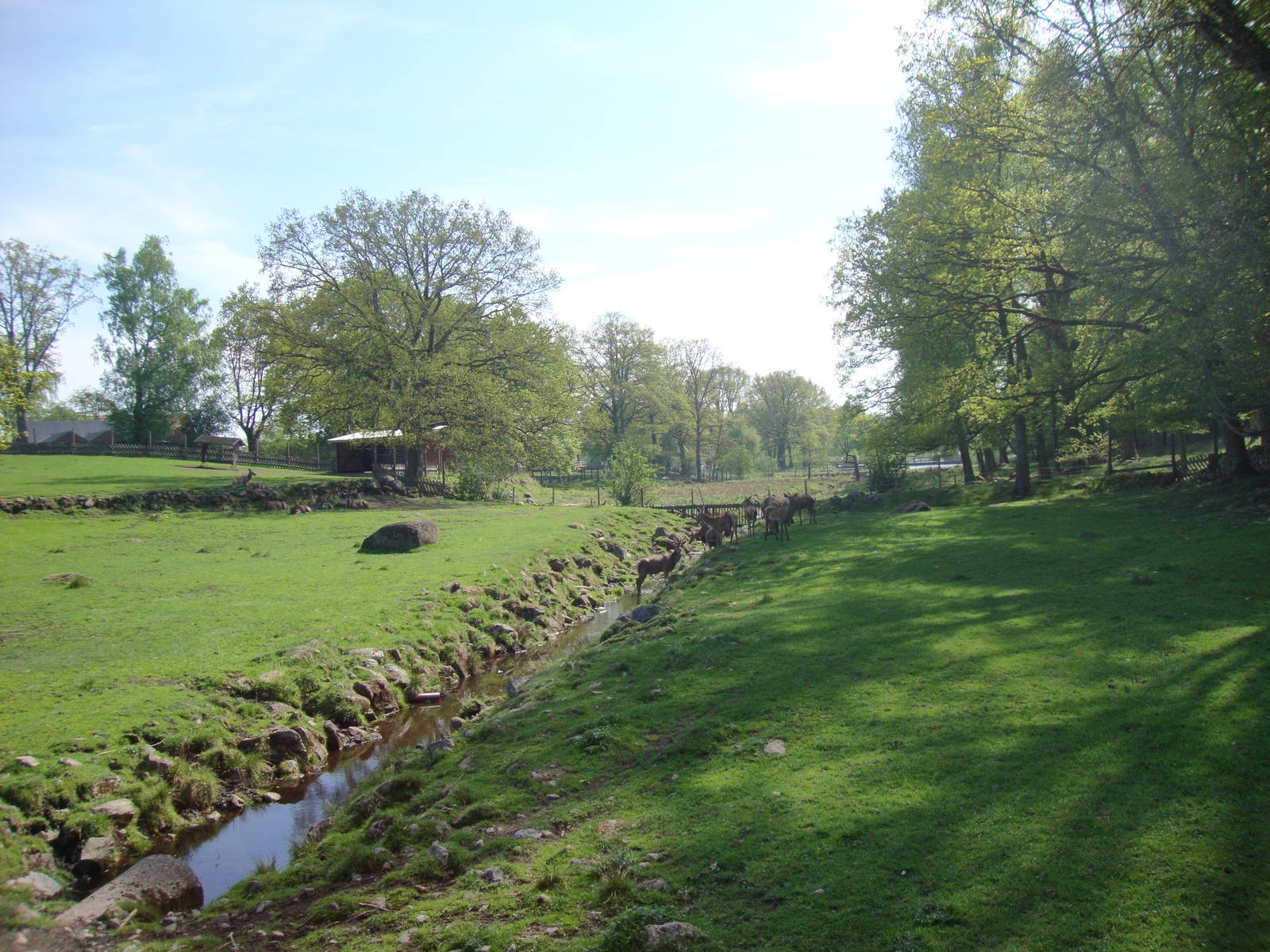 Sk?nes Djurpark May 2013