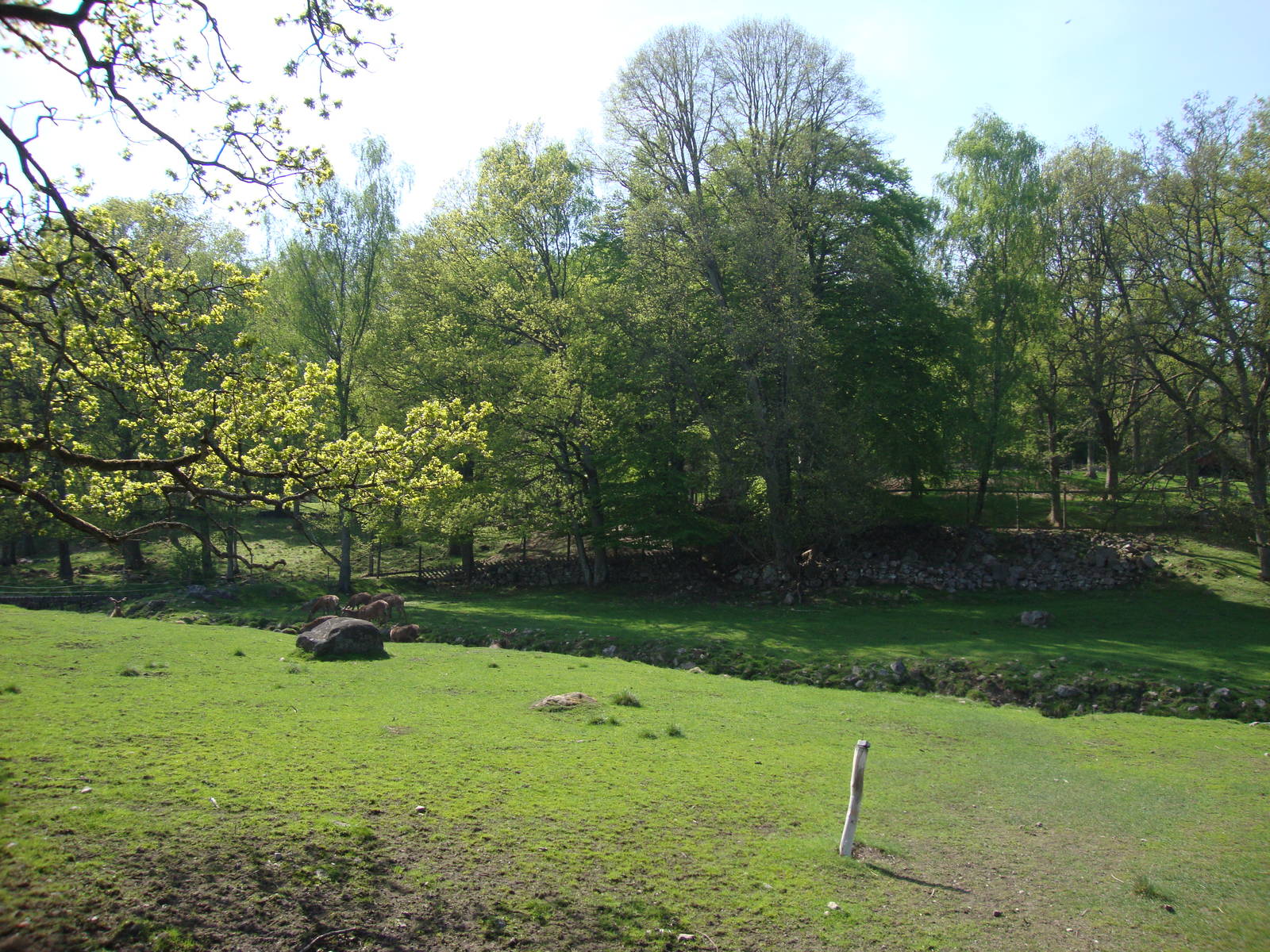 Sk?nes Djurpark May 2013