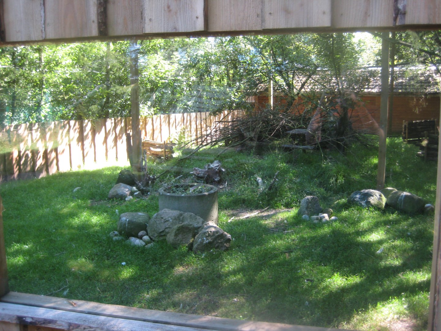 Skærup Zoo - African aviary