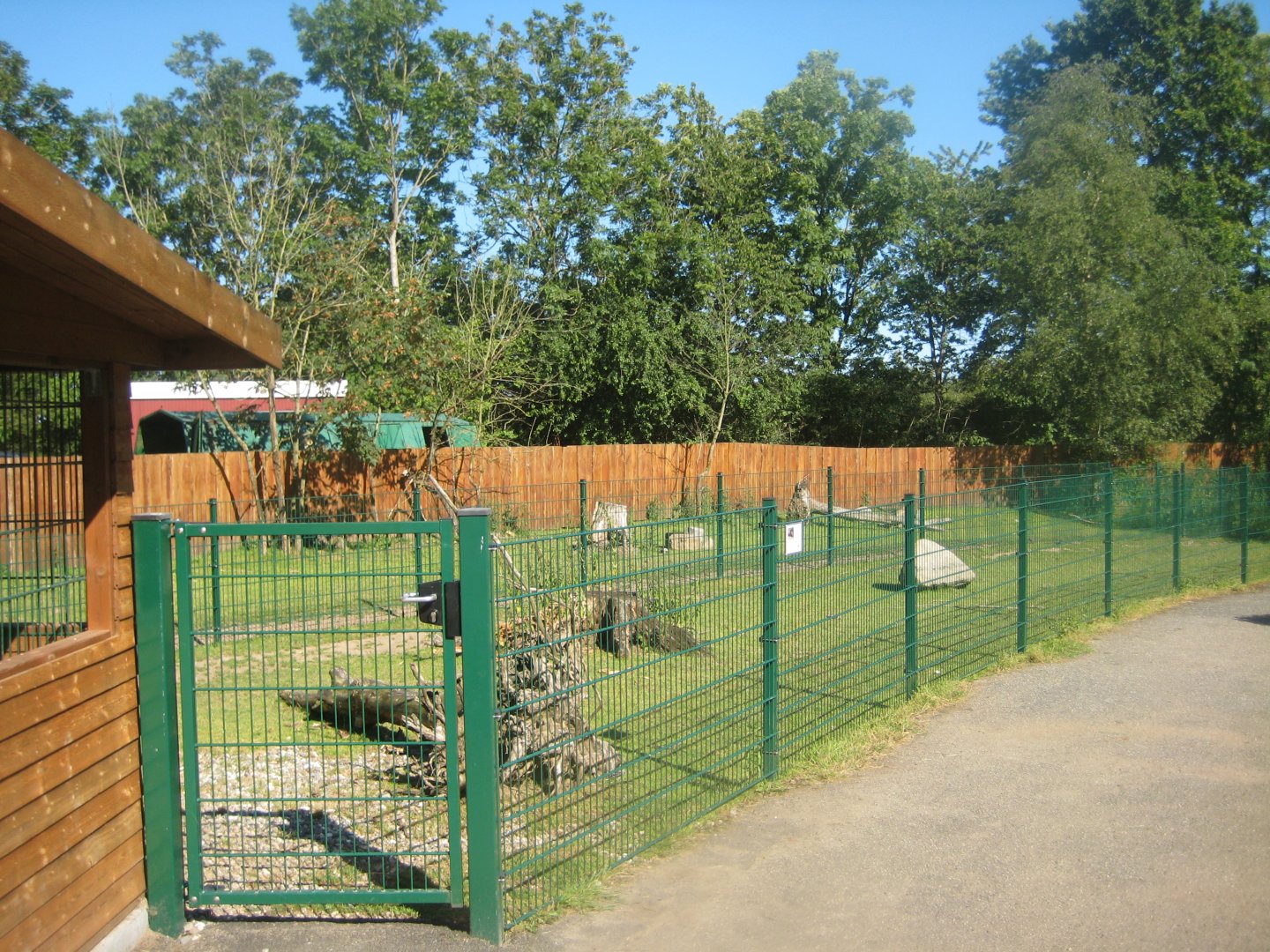 Skærup Zoo - Anoa exhibits