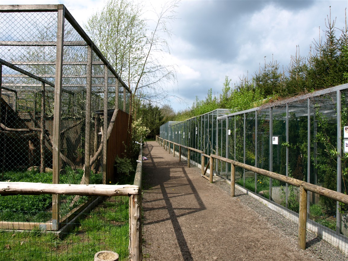 Skaerup Zoo - Aviaries