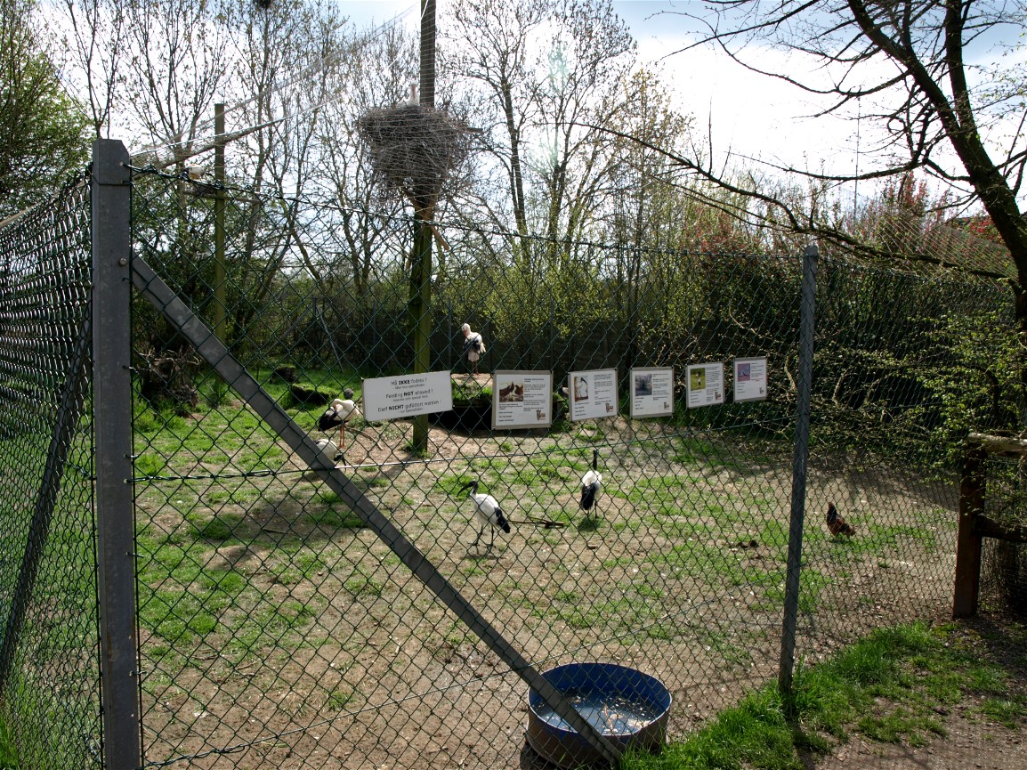 Skaerup Zoo - Aviary
