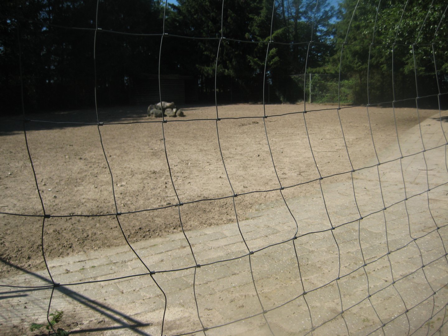 Skærup Zoo - Axis deer exhibit