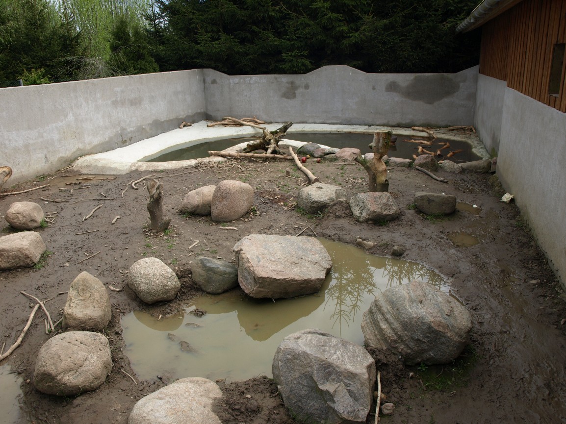 Skaerup Zoo - Beaver exhibit