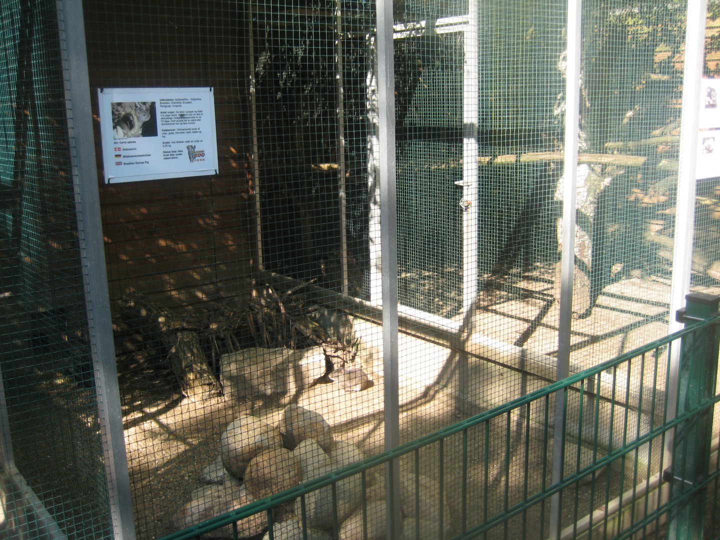 Skærup Zoo - Brazilian guinea pig exhibit