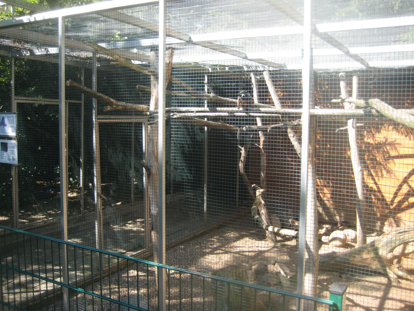 Skærup Zoo - Callithricid exhibit #8