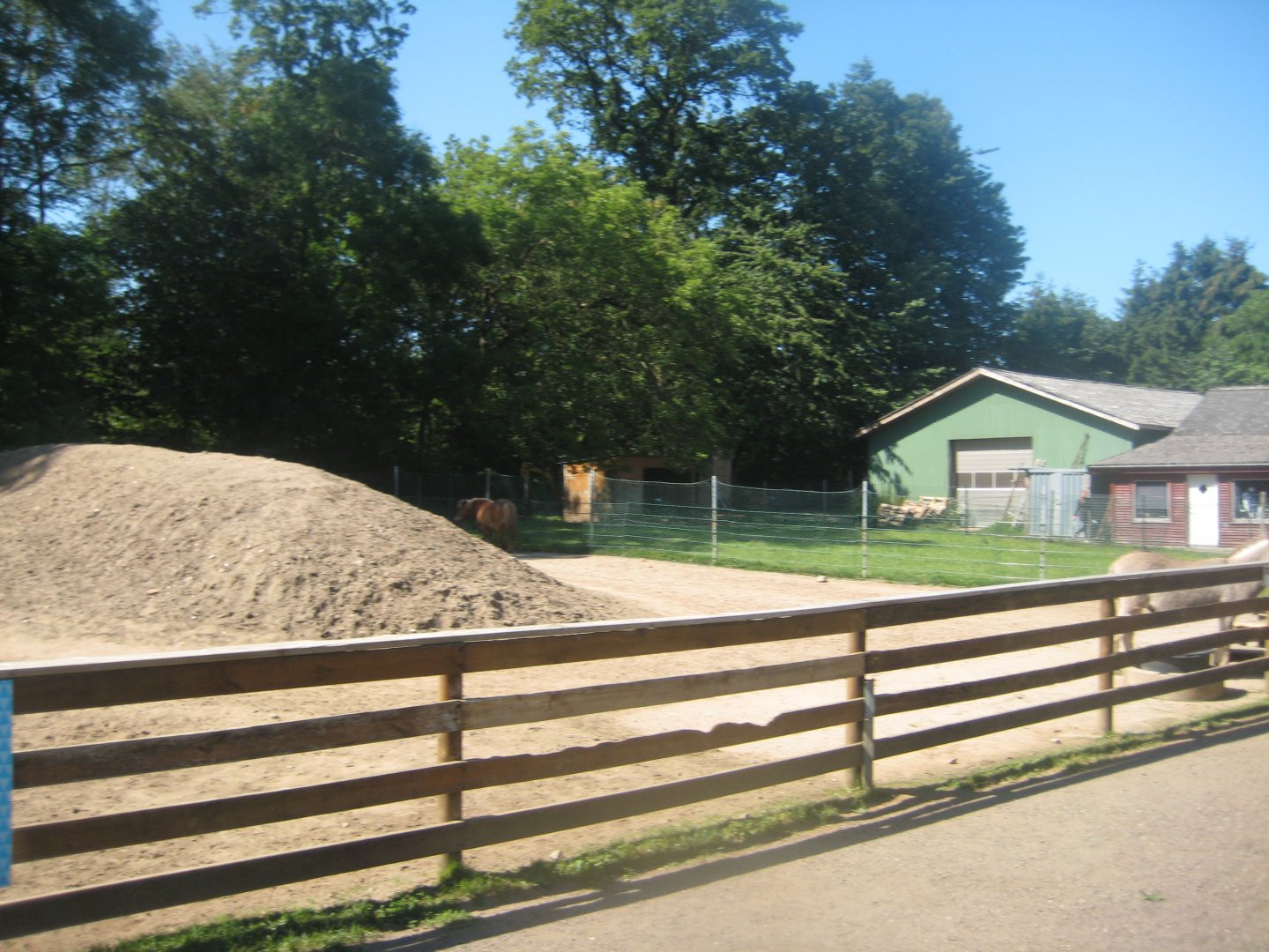Skærup Zoo - Donkey/pony exhibit