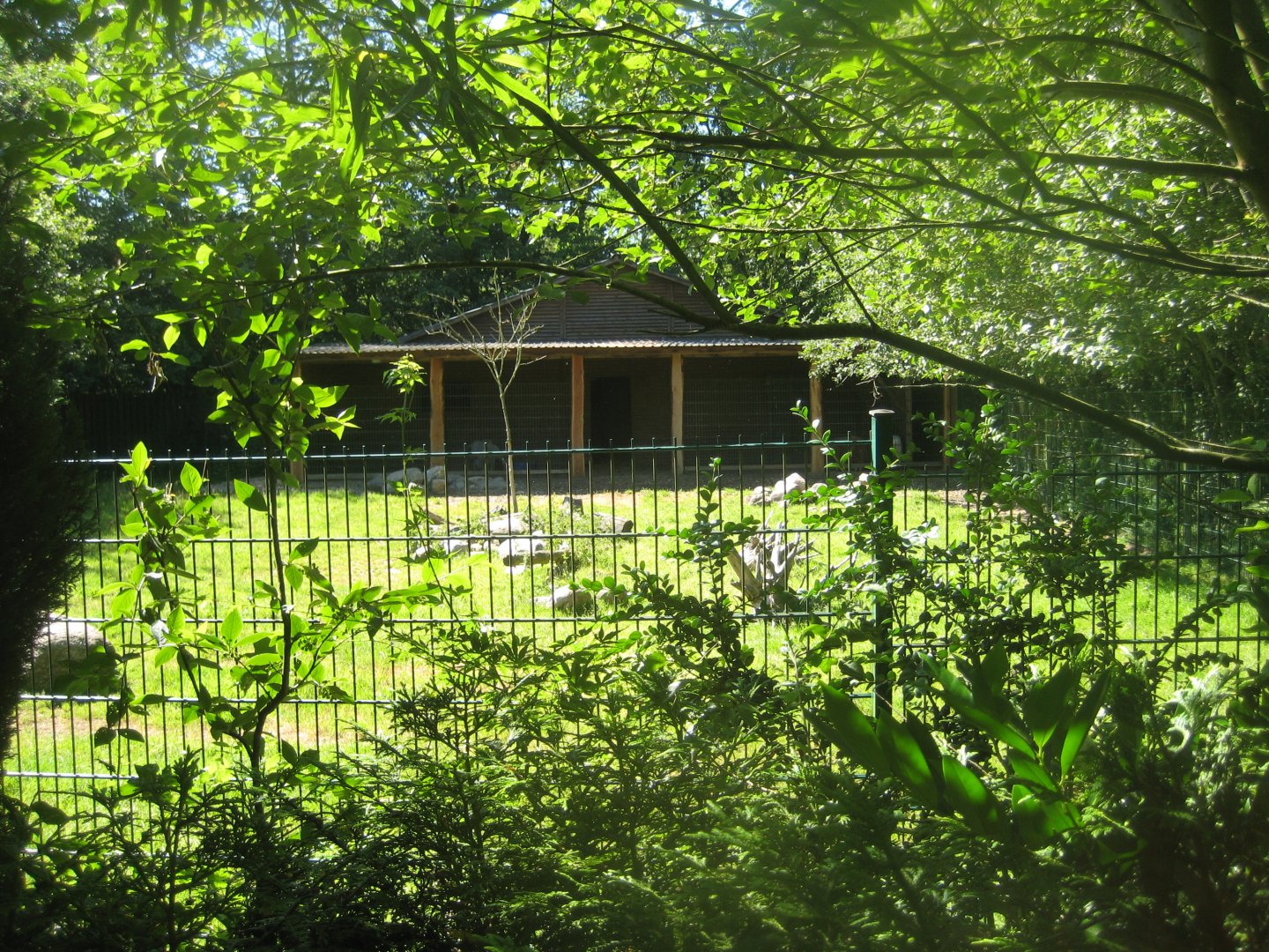 Skærup Zoo - Goat exhibit