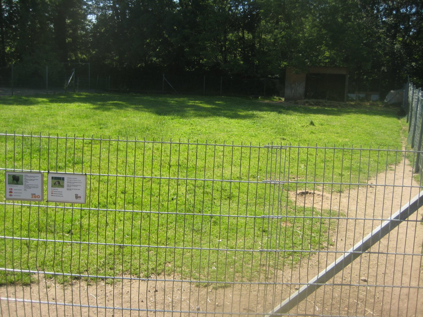Skærup Zoo - Goat/sheep exhibit