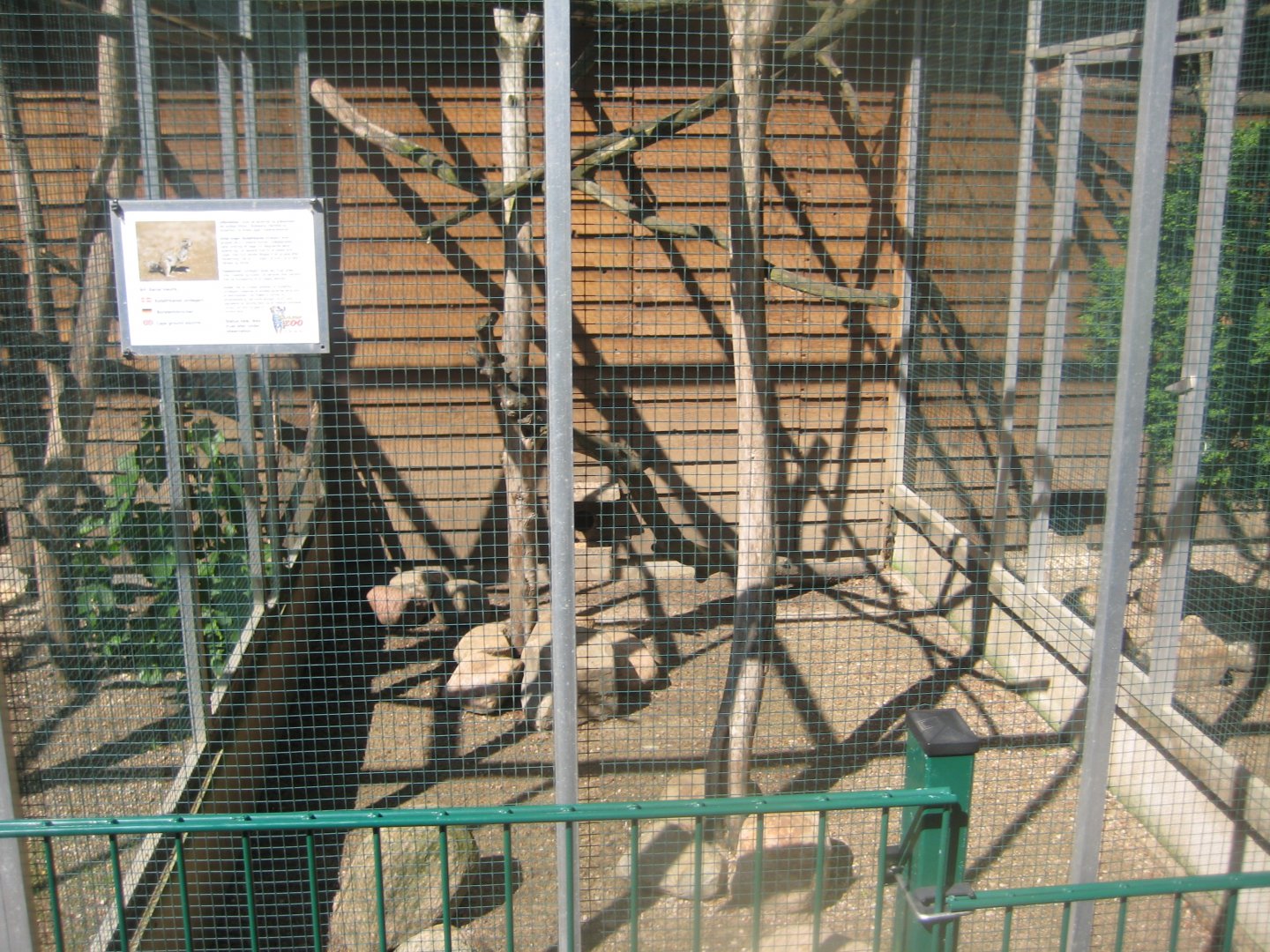 Skærup Zoo - Ground squirrel exhibit