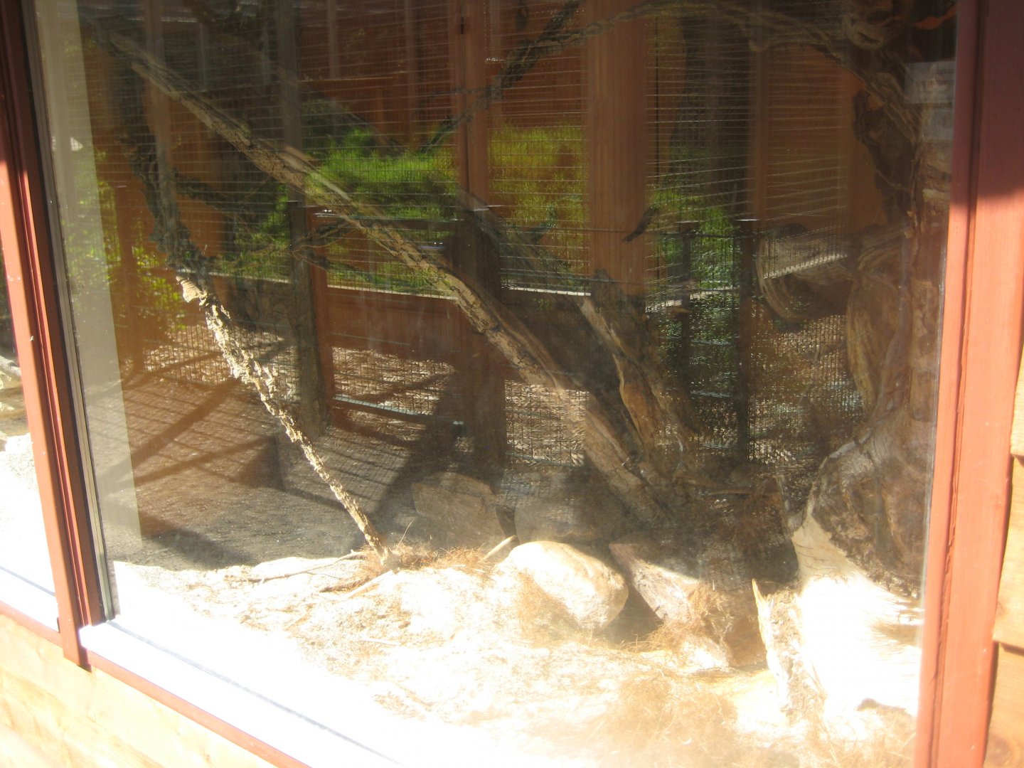 Skærup Zoo - Harvest mouse exhibit