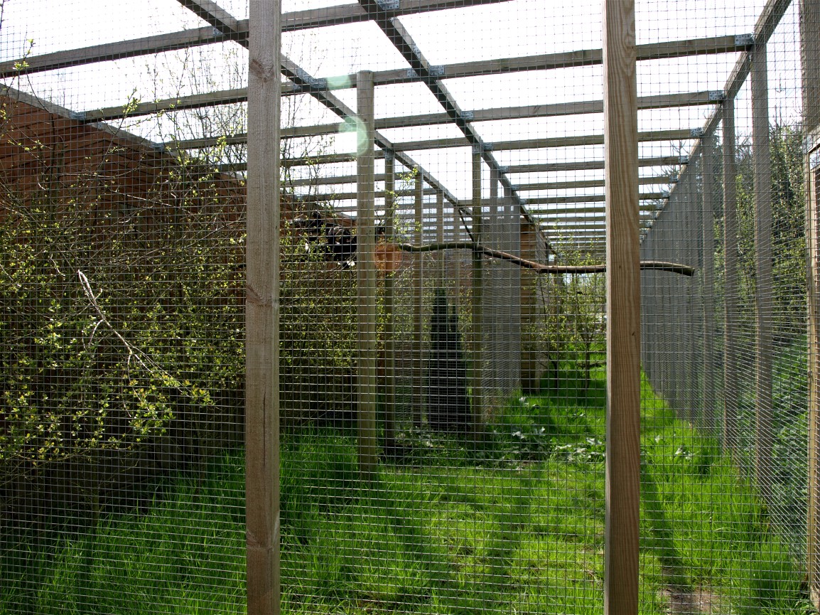 Skaerup Zoo - Hornbill aviary