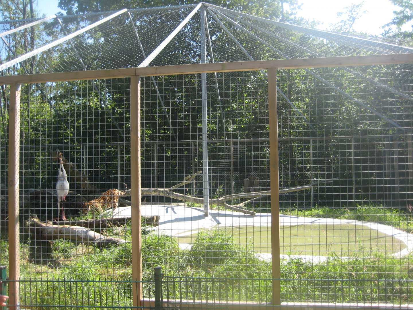 Skærup Zoo - Jaguar exhibit