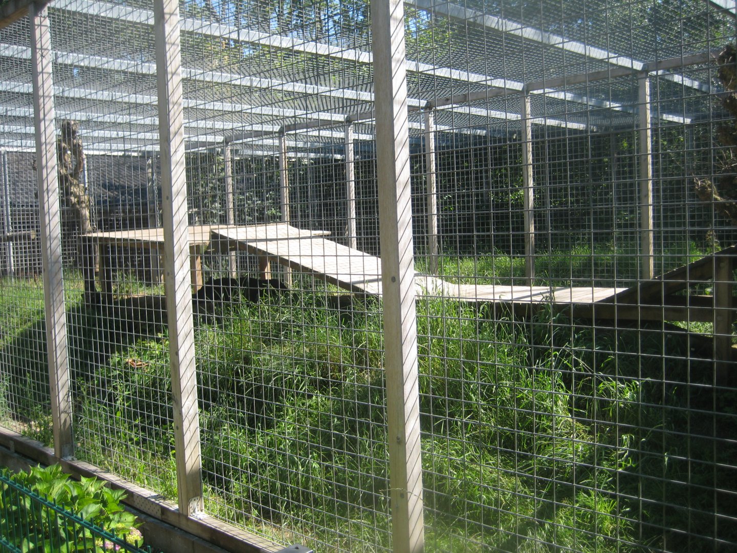 Skærup Zoo - Jaguar exhibit