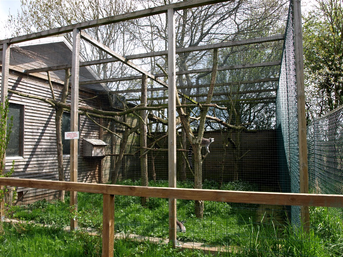Skaerup Zoo - Lemur exhibit