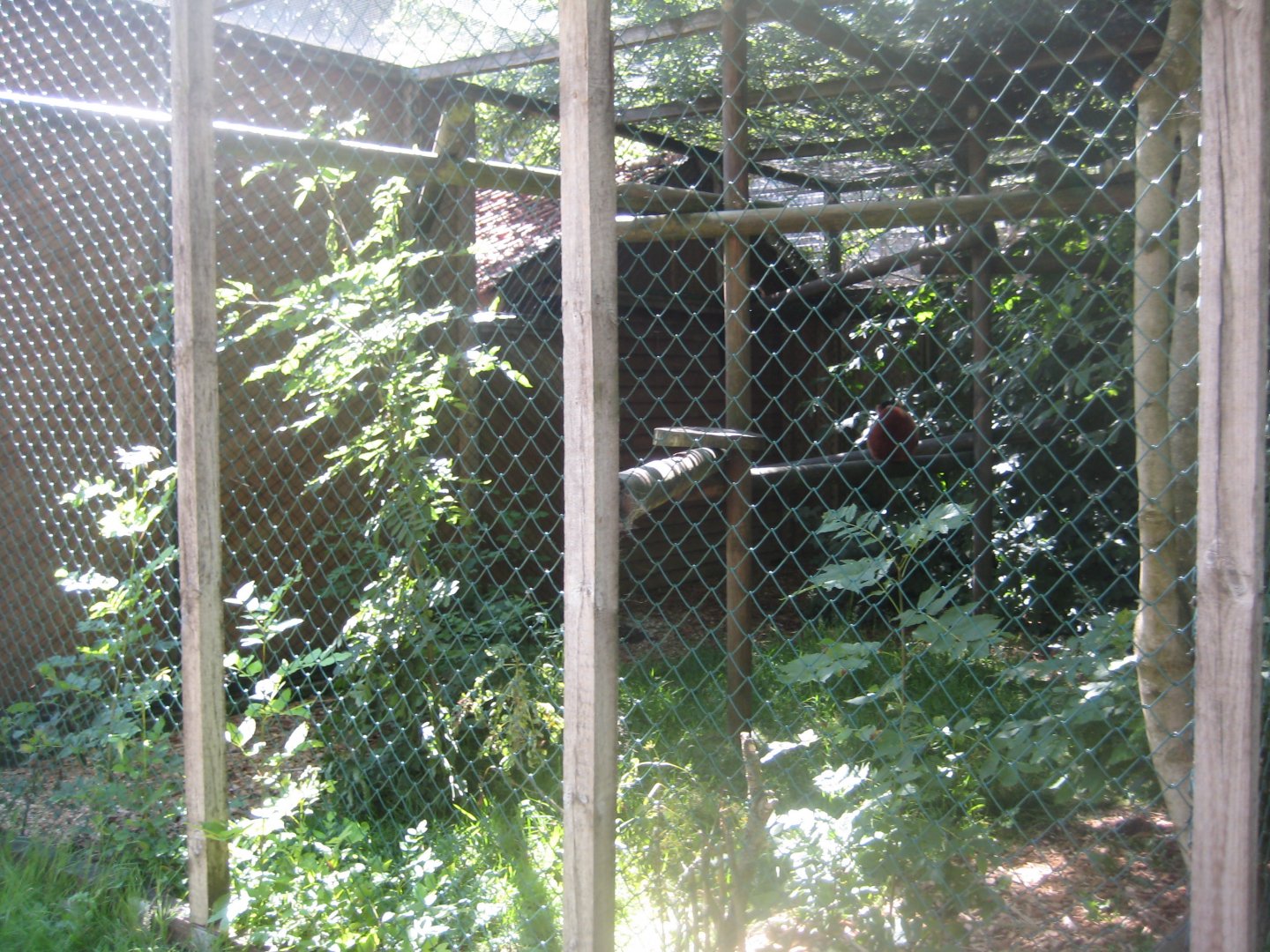 Skærup Zoo - Lemur exhibit